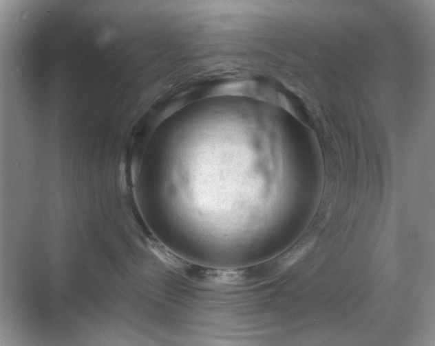 X0000068810288200605081127