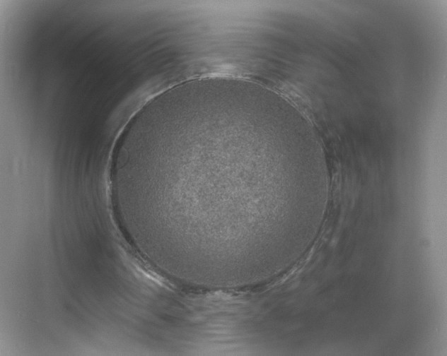 X0000068810290200605081126