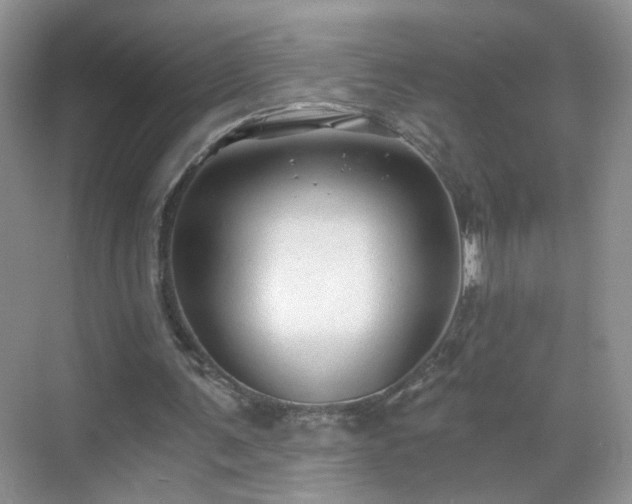 X0000068810291200605081126