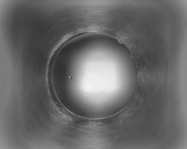 X0000068810292200605081126