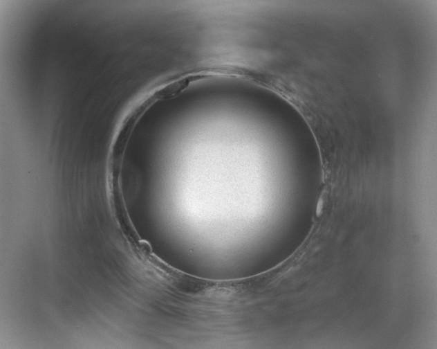 X0000068810294200605081126