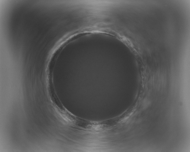 X0000068810295200605081126