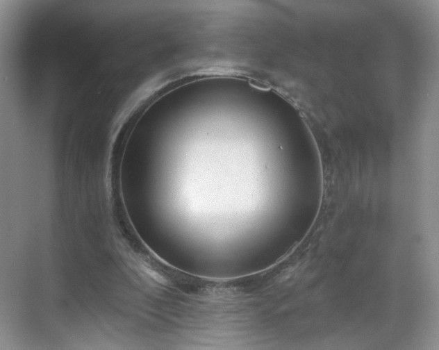 X0000068810296200605081126