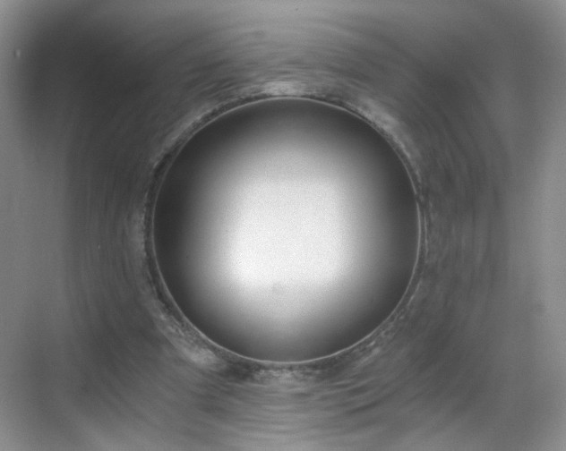 X0000068810297200605081126