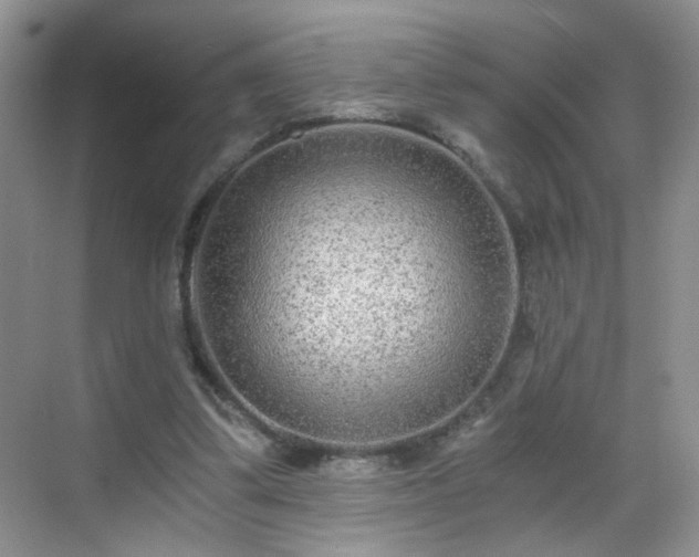 X0000068810299200605081126