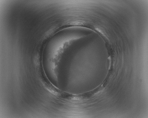 X0000068810303200605081126