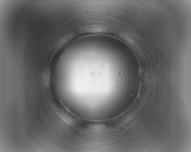 X0000068810304200605081126