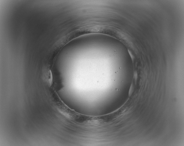 X0000068810307200605081126