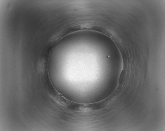 X0000068810311200605081126