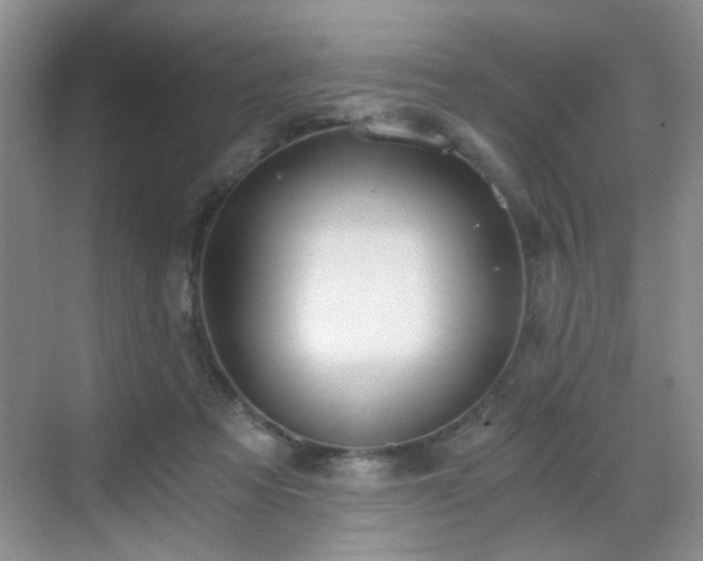 X0000068810313200605081126