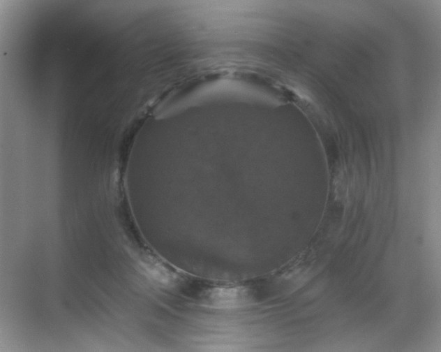 X0000068810314200605081126