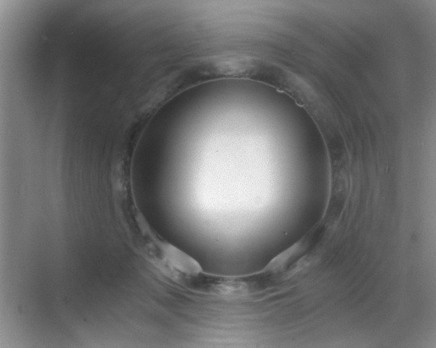 X0000068810317200605081126