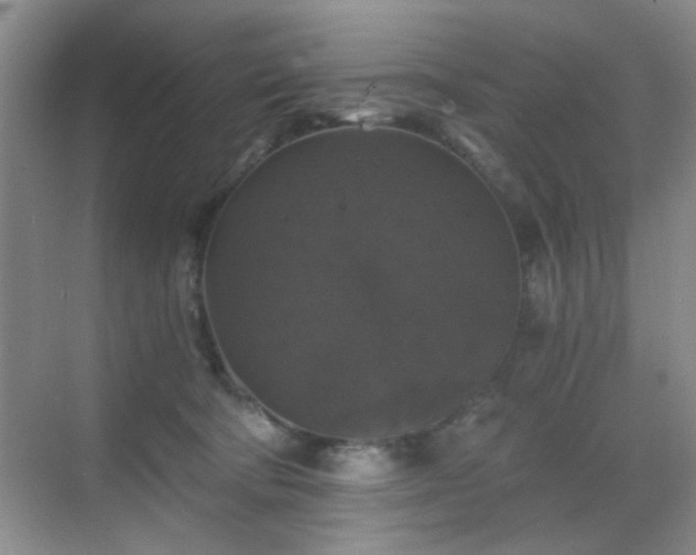 X0000068810322200605081126