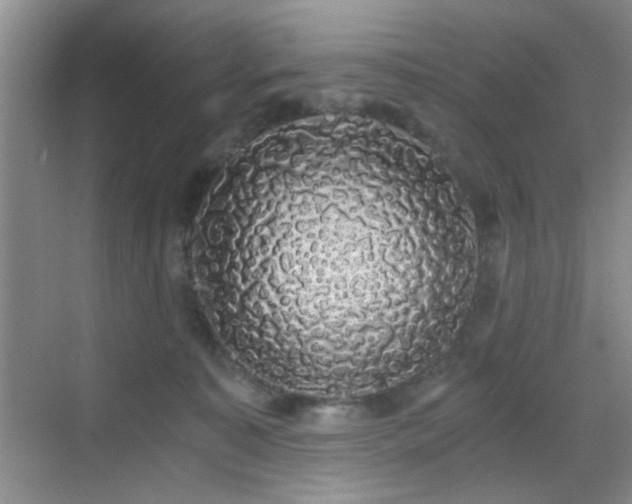 X0000068810323200605081126