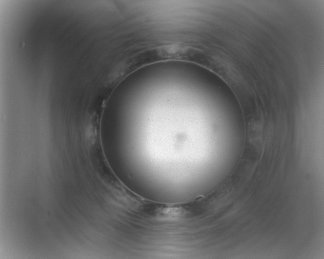 X0000068810324200605081126