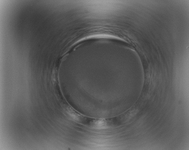 X0000068810325200605081126