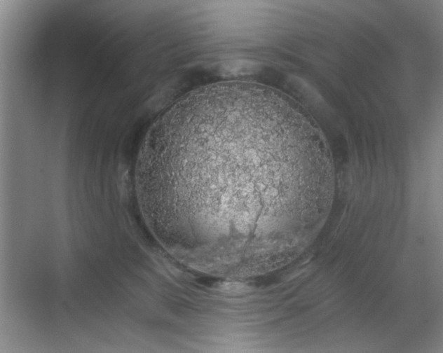 X0000068810327200605081126