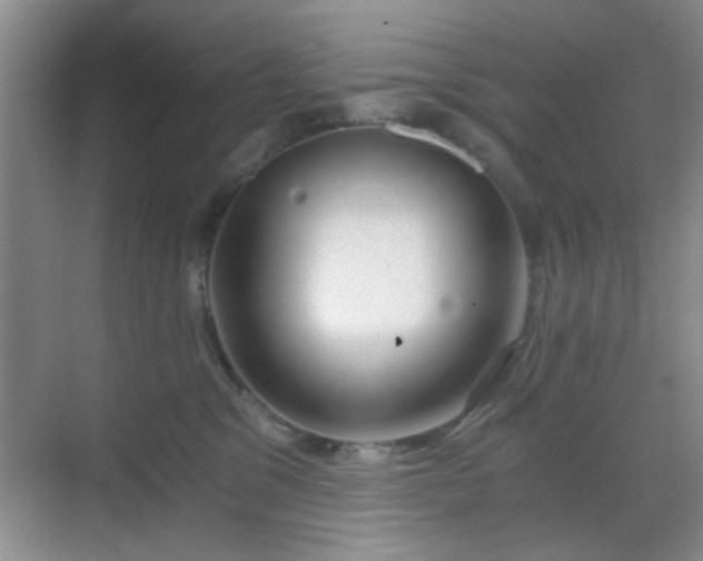 X0000068810329200605081126