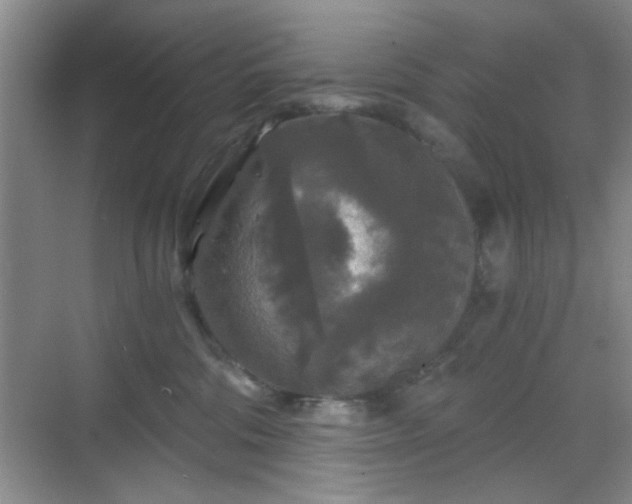 X0000068810330200605081126