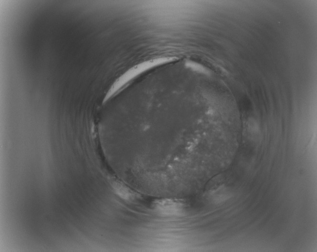 X0000068810331200605081126