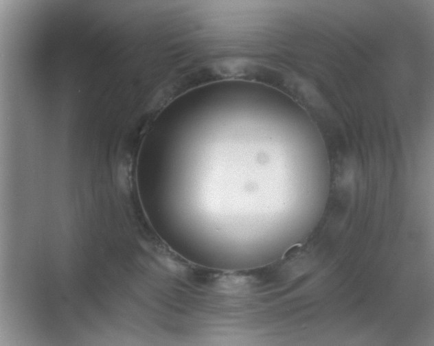 X0000068810332200605081126