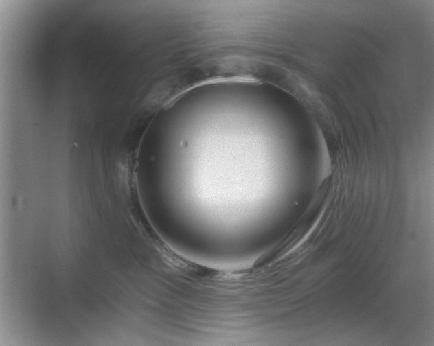 X0000068810333200605081126