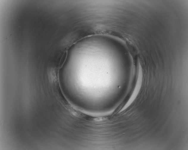 X0000068810335200605081126