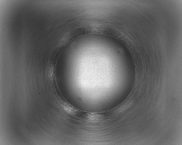 X0000068810336200605081126