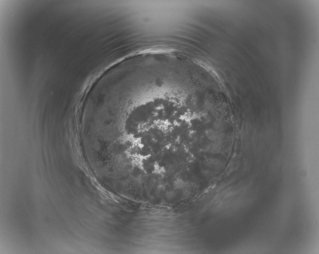 X0000068810337200605081125