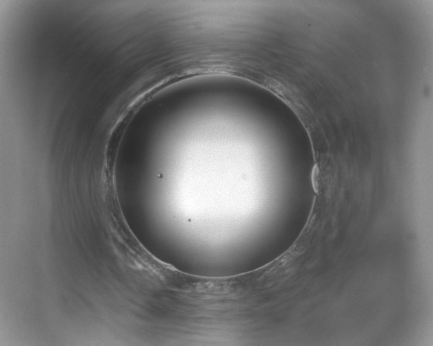 X0000068810338200605081125