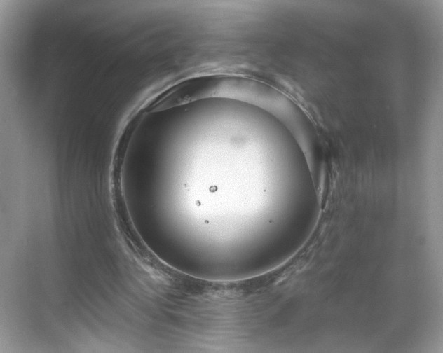 X0000068810340200605081125