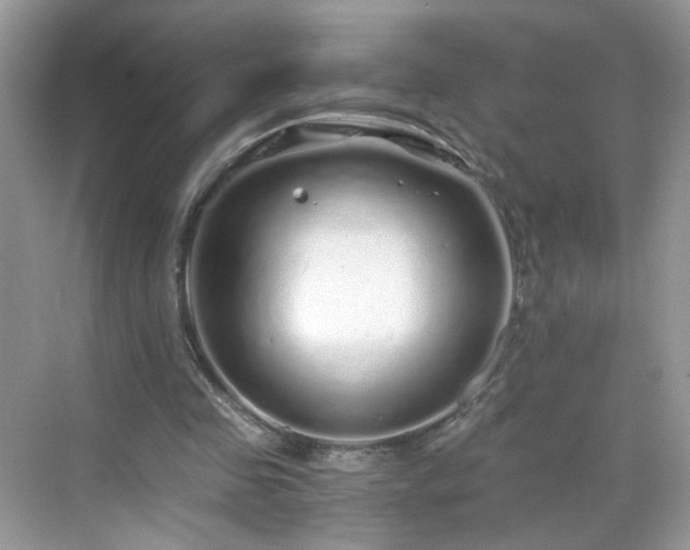 X0000068810341200605081125