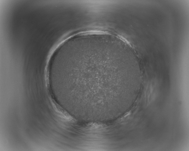 X0000068810343200605081125