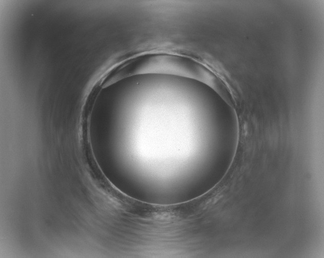 X0000068810344200605081125