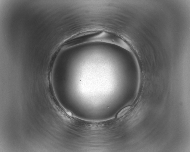 X0000068810345200605081125