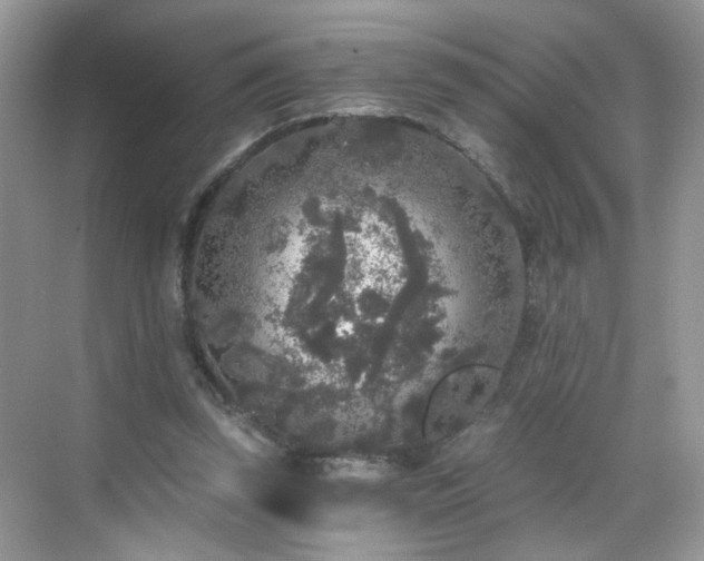 X0000068810347200605081125