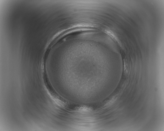 X0000068810348200605081125