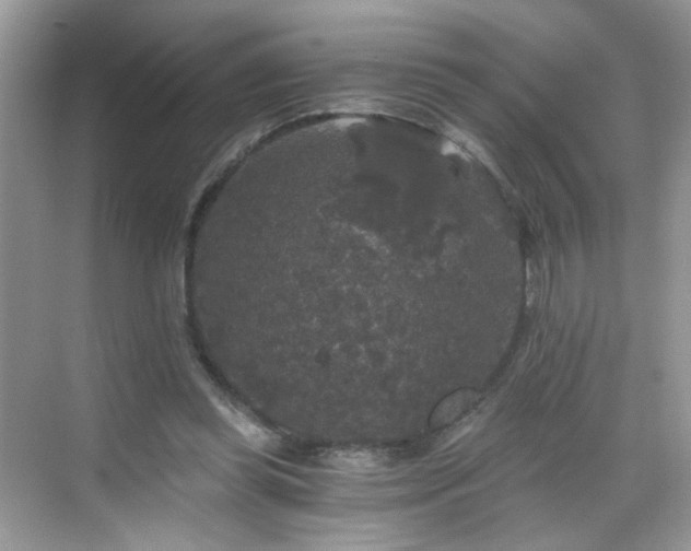 X0000068810349200605081125