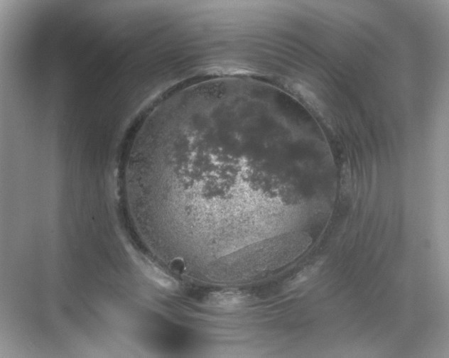 X0000068810351200605081125