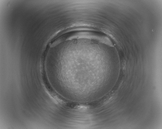 X0000068810352200605081125