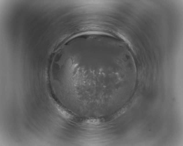 X0000068810353200605081125