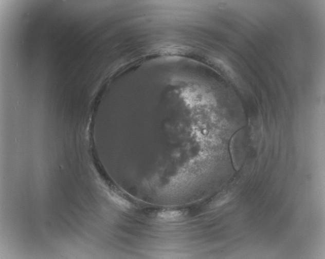 X0000068810357200605081125