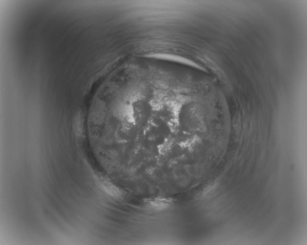 X0000068810359200605081125