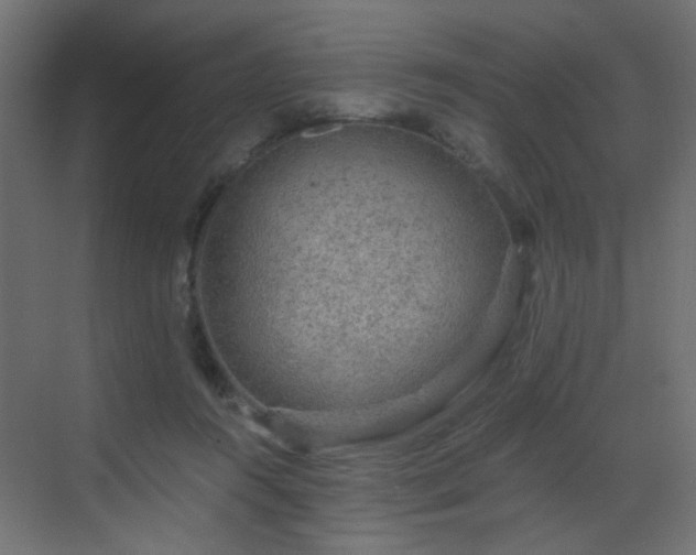 X0000068810360200605081125