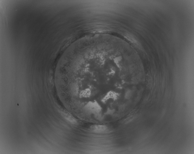 X0000068810361200605081125