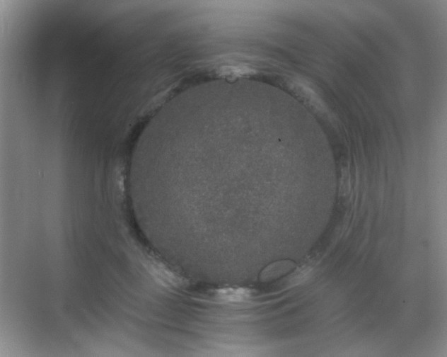 X0000068810363200605081125