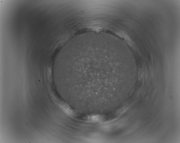 X0000068810365200605081125