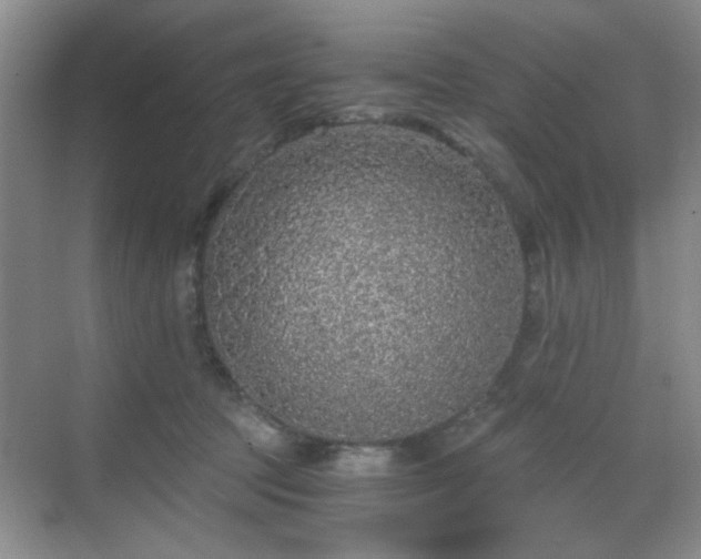 X0000068810369200605081125