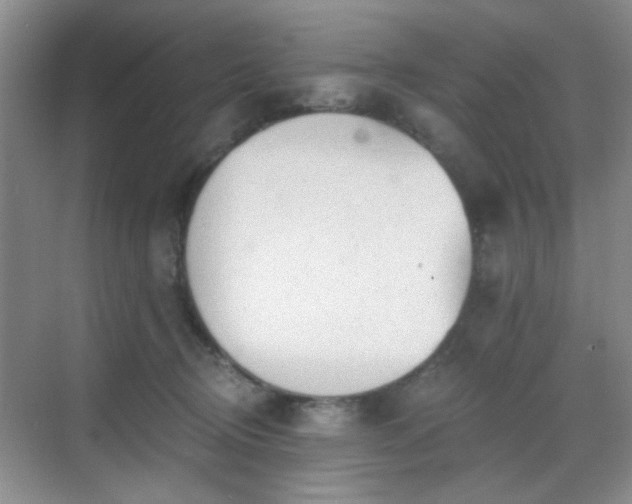 X0000068810370200605081125