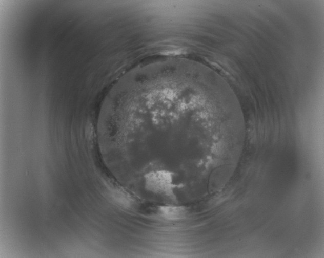 X0000068810371200605081125